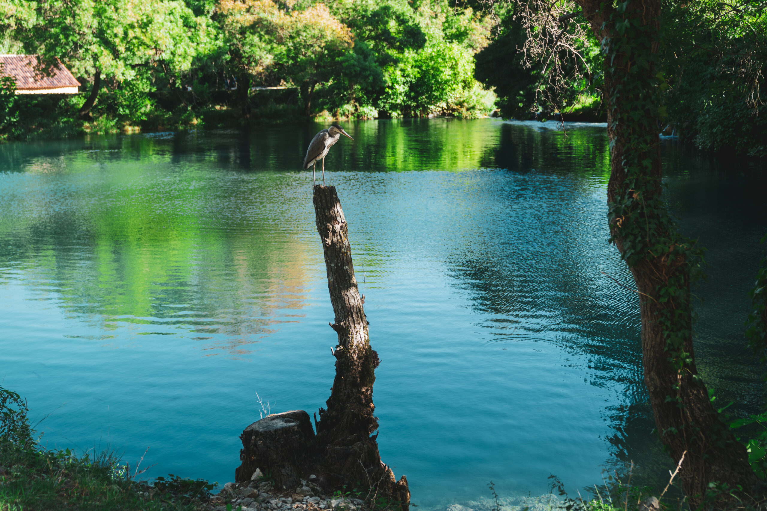 Tour Moments at Krka National Park – photograph 3